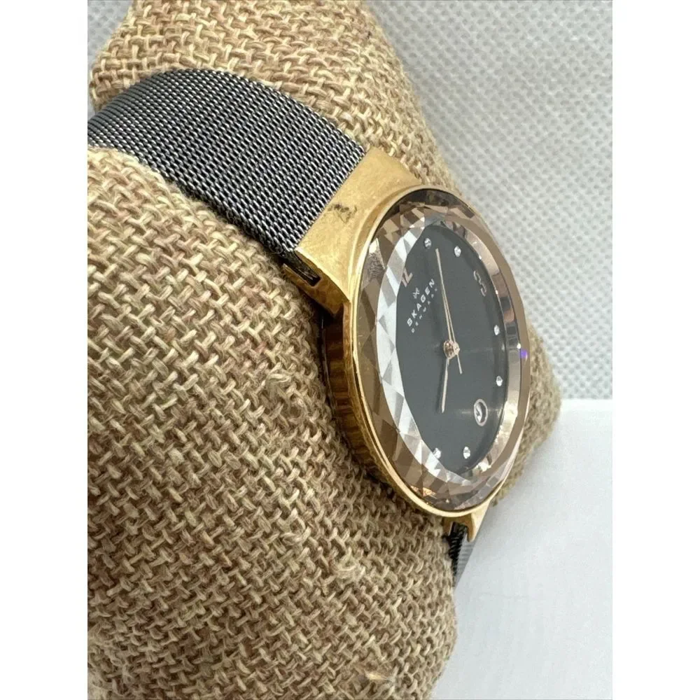 Skagen SKW2120 Women's Gray Stainless Steel Mesh Analog Dial Quartz Watch JNA916